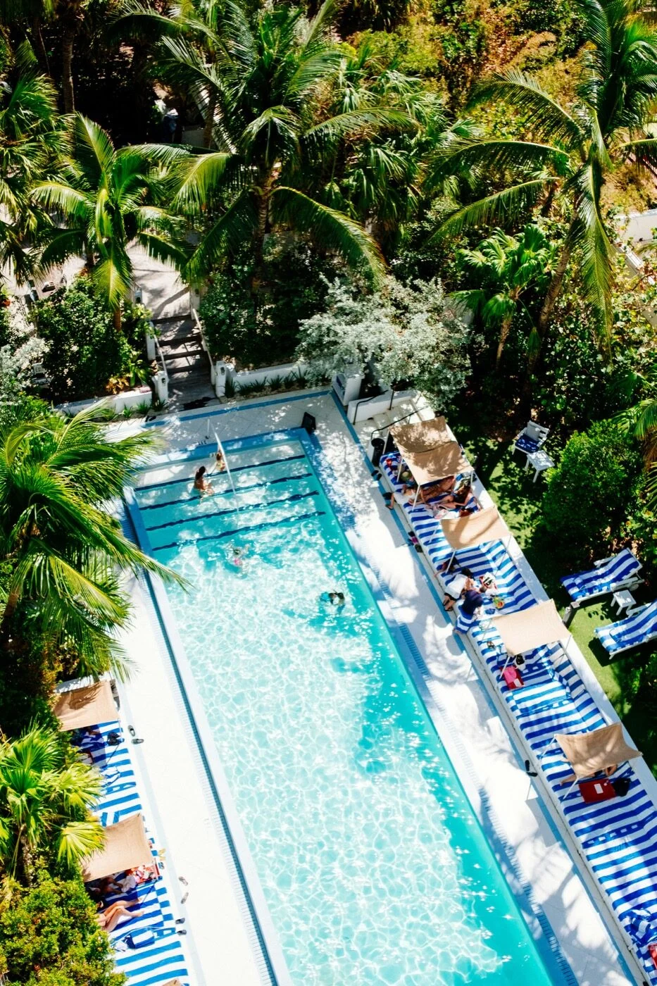 A lap pool seen from directly above, striped loungers and palms alongside