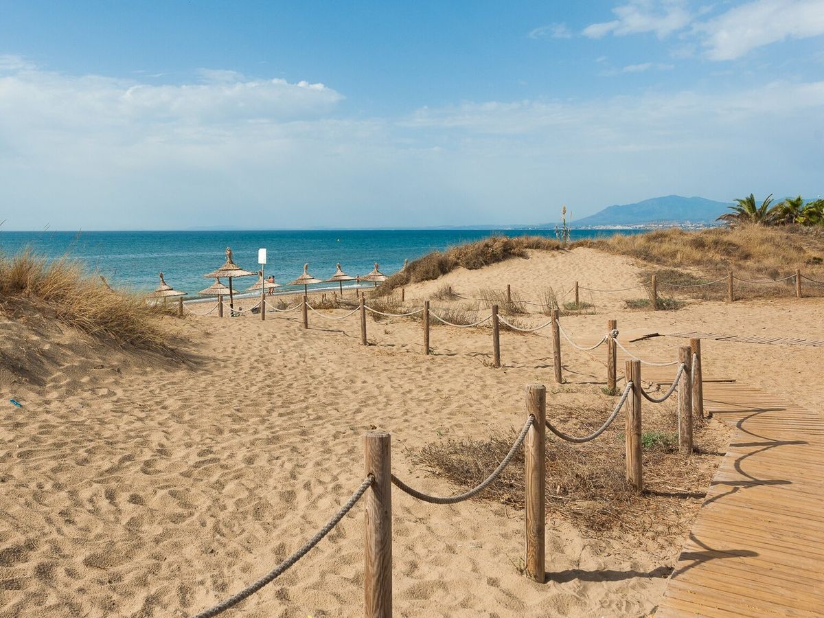 Beaches